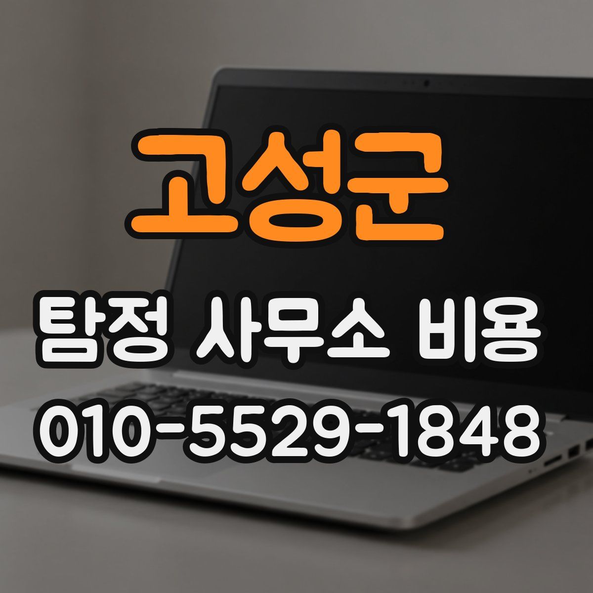 고성군 탐정 사무소 비용
