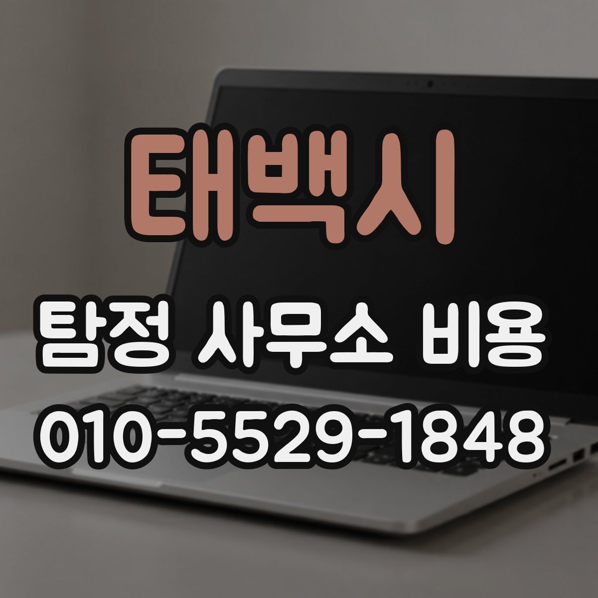 태백시 탐정 사무소 비용
