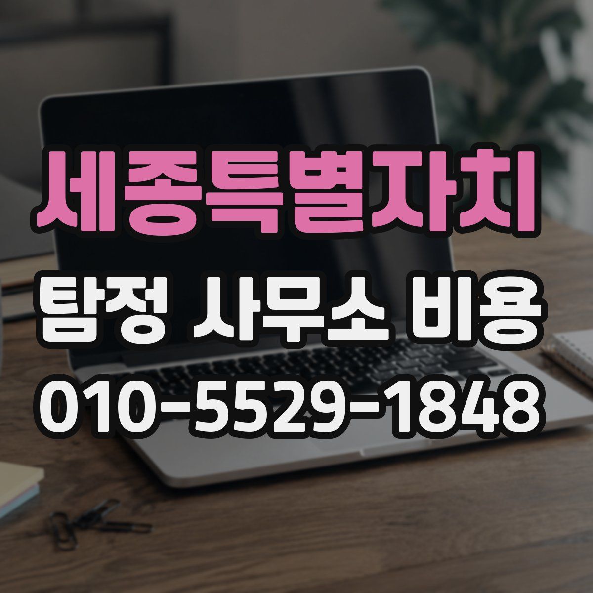 세종특별자치 탐정 사무소 비용