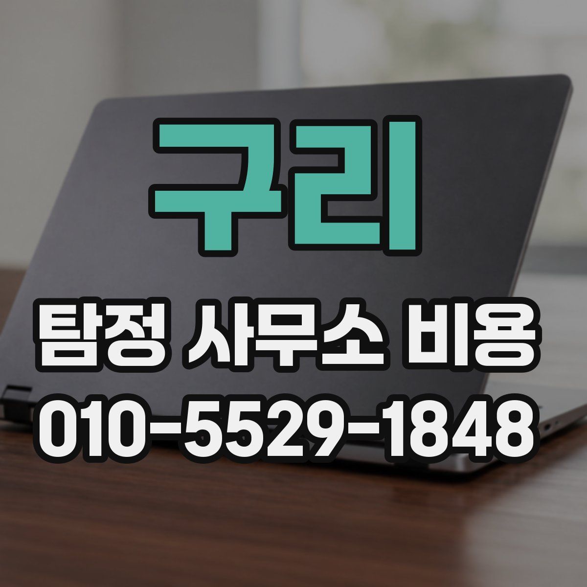 구리 탐정 사무소 비용