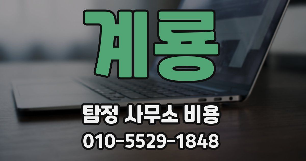 계룡 탐정 사무소 비용