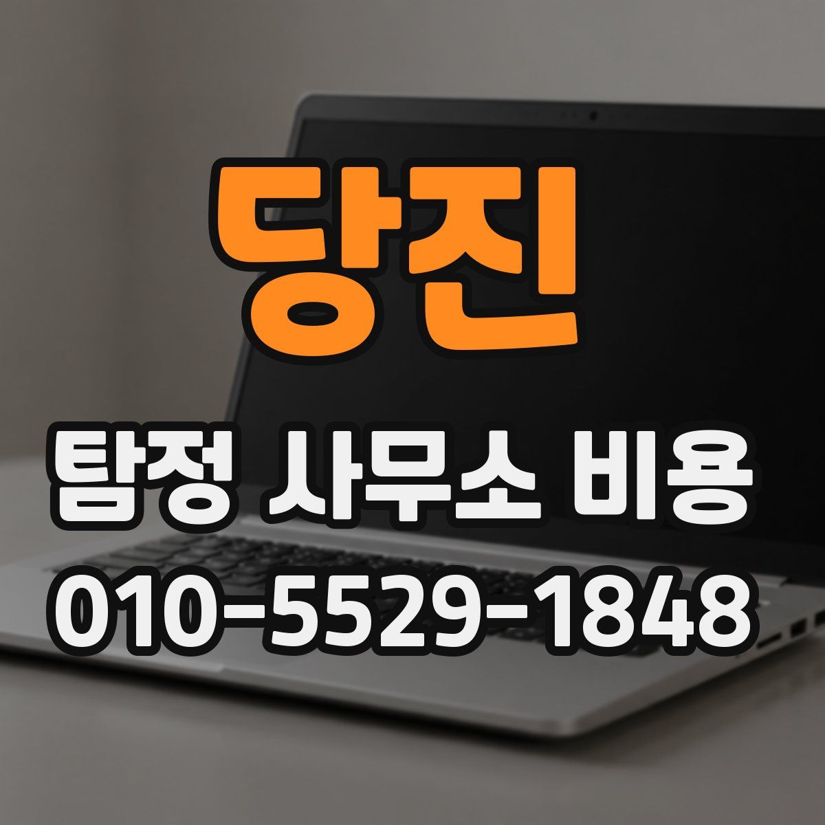 당진 탐정 사무소 비용
