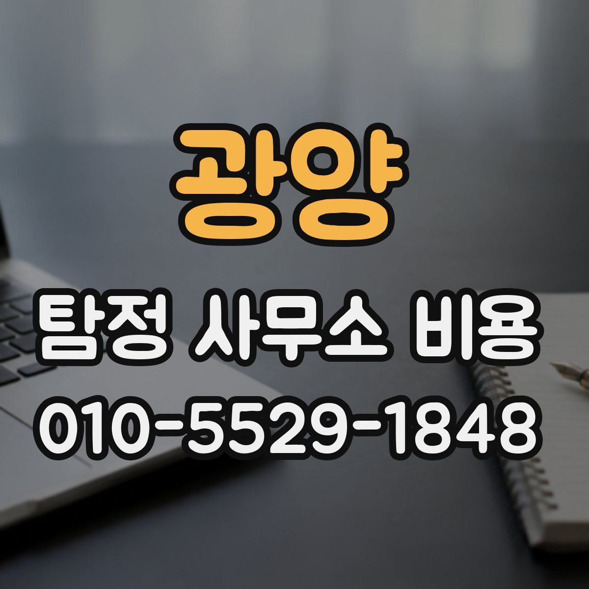 광양 탐정 사무소 비용