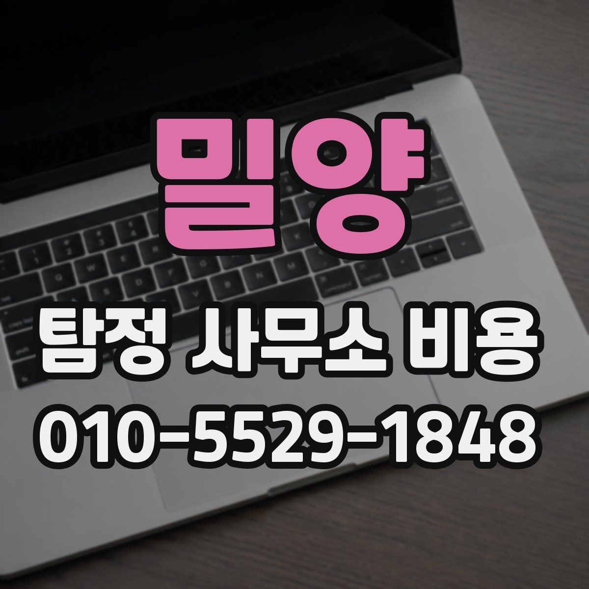 밀양 탐정 사무소 비용
