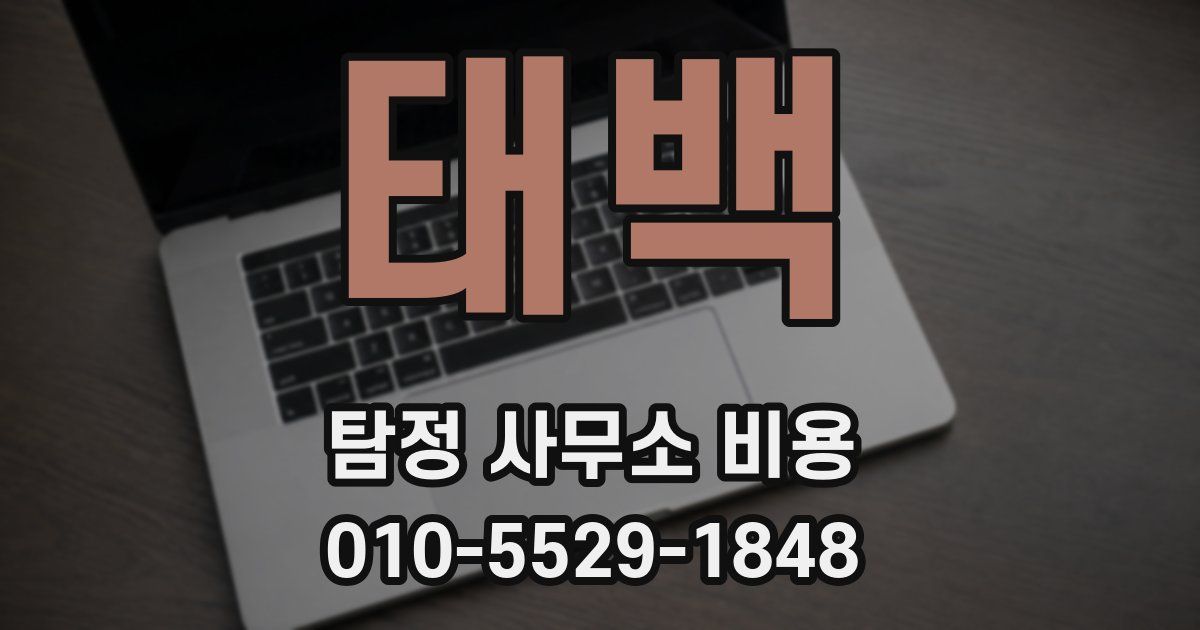 태백 탐정 사무소 비용