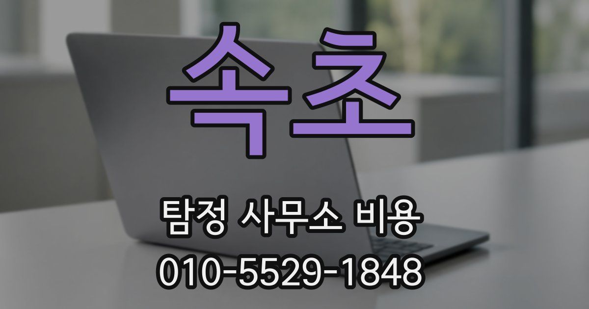 속초 탐정 사무소 비용