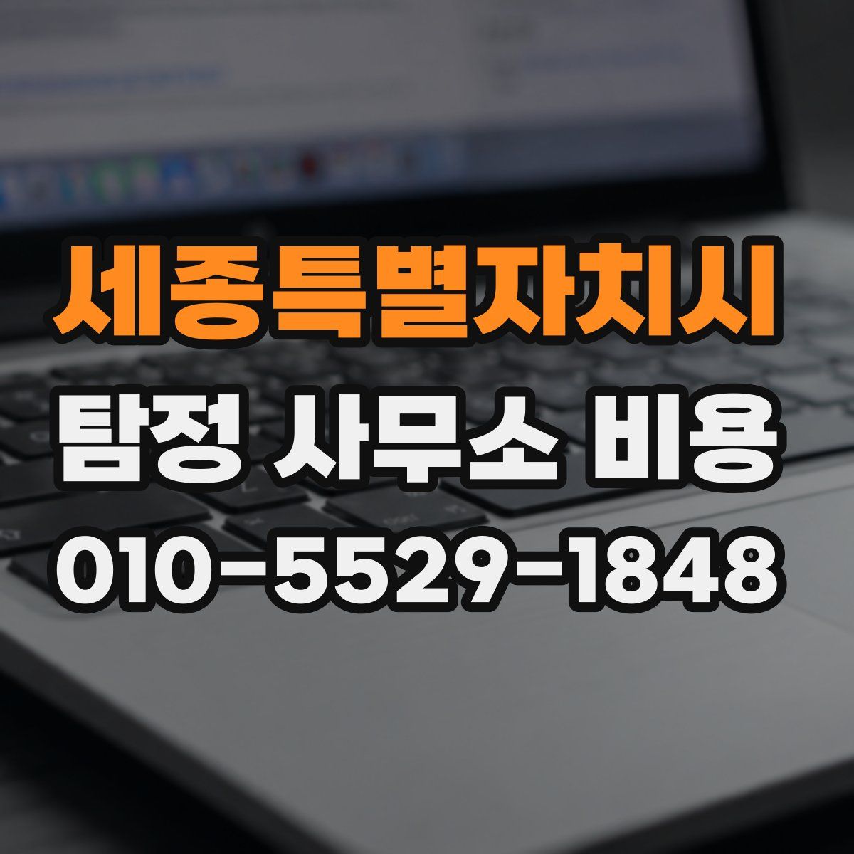 세종특별자치시 탐정 사무소 비용
