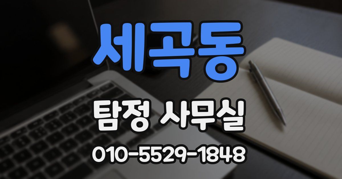 세곡동 탐정 사무실