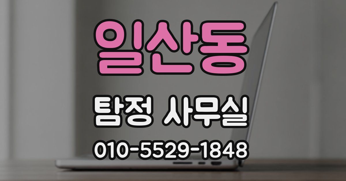 일산동 탐정 사무실