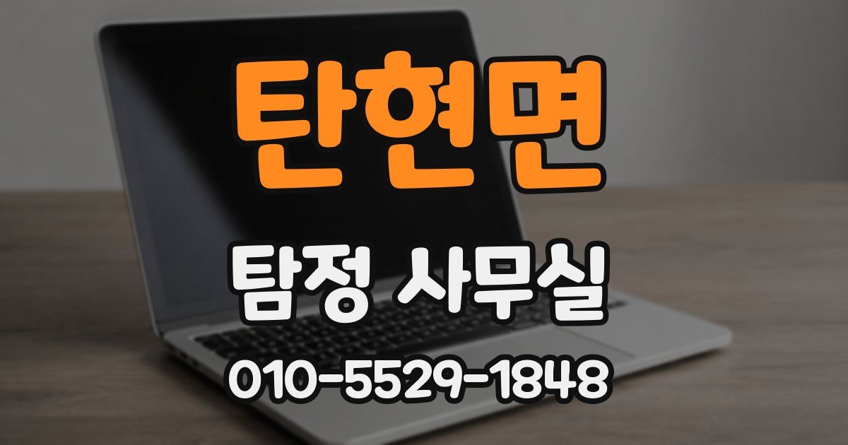 탄현면 탐정 사무실