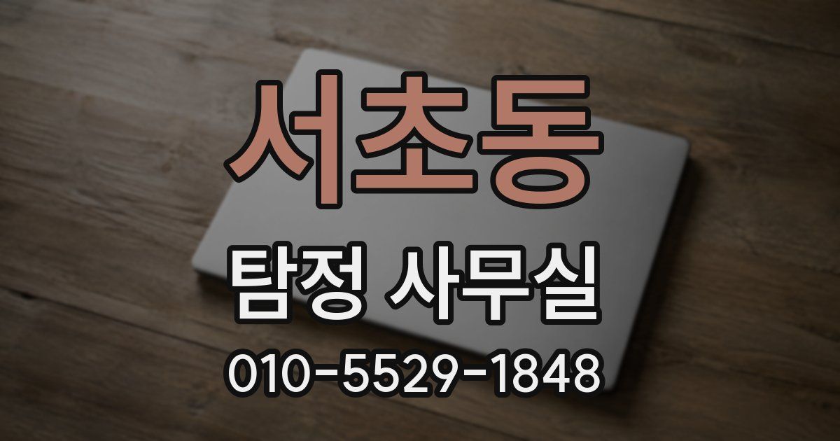 서초동 탐정 사무실