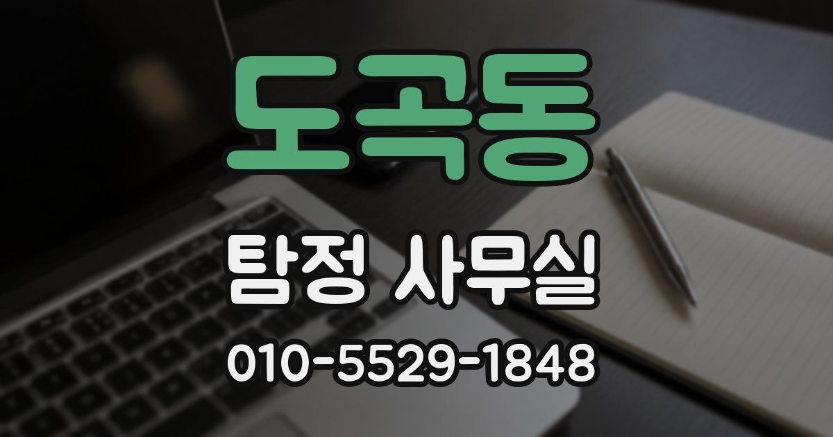 도곡동 탐정 사무실