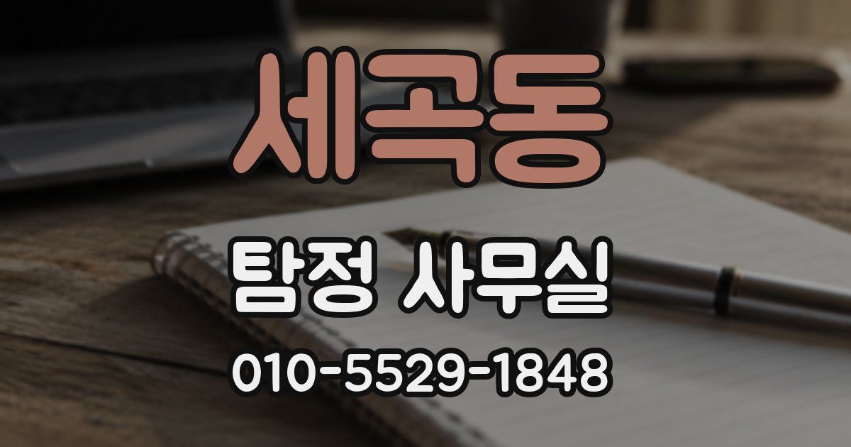 세곡동 탐정 사무실