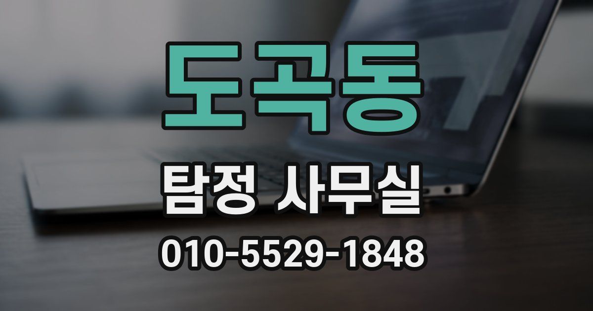 도곡동 탐정 사무실