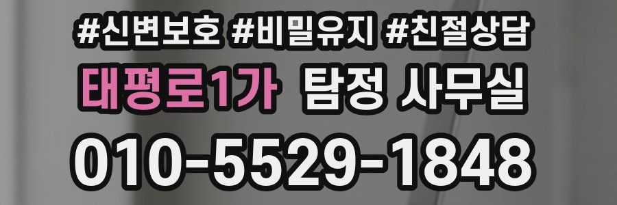 태평로1가 탐정 사무실
