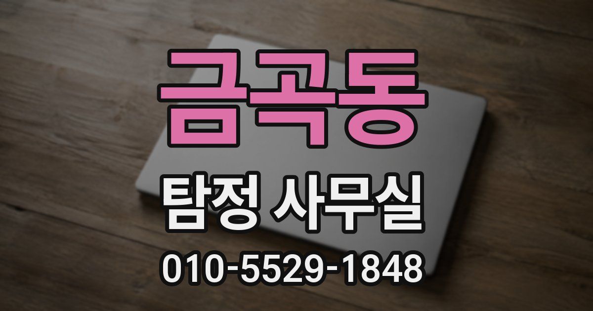 금곡동 탐정 사무실