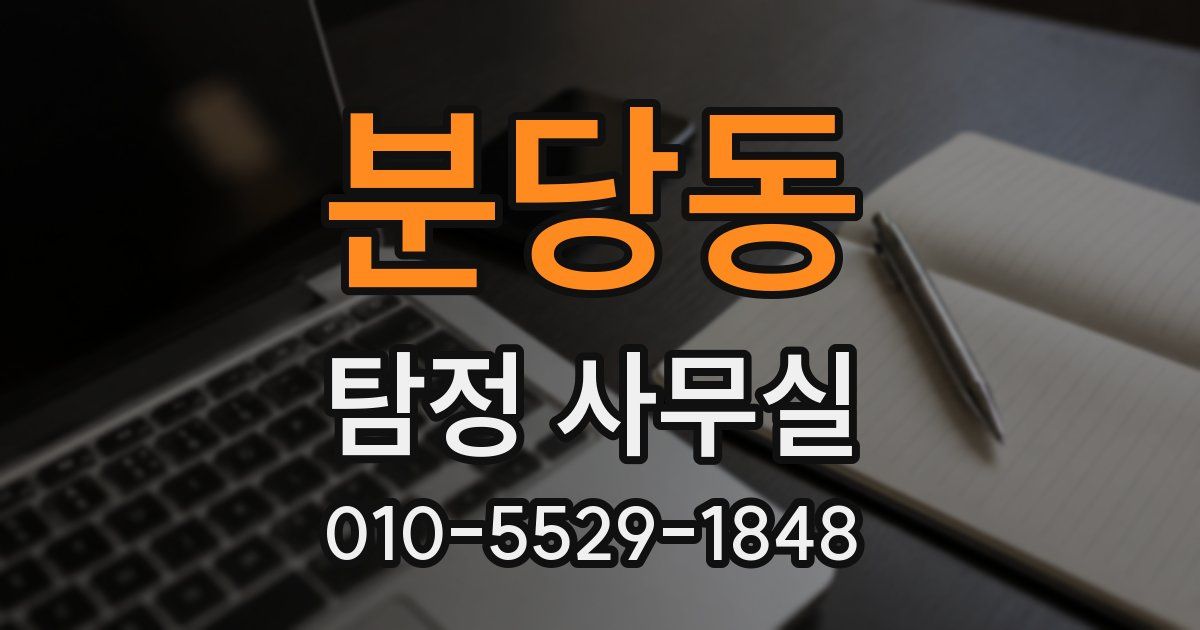분당동 탐정 사무실
