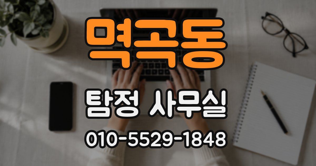 멱곡동 탐정 사무실