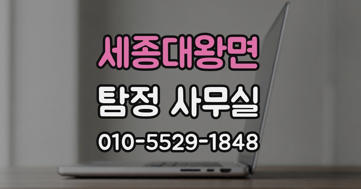 세종대왕면 탐정 사무실