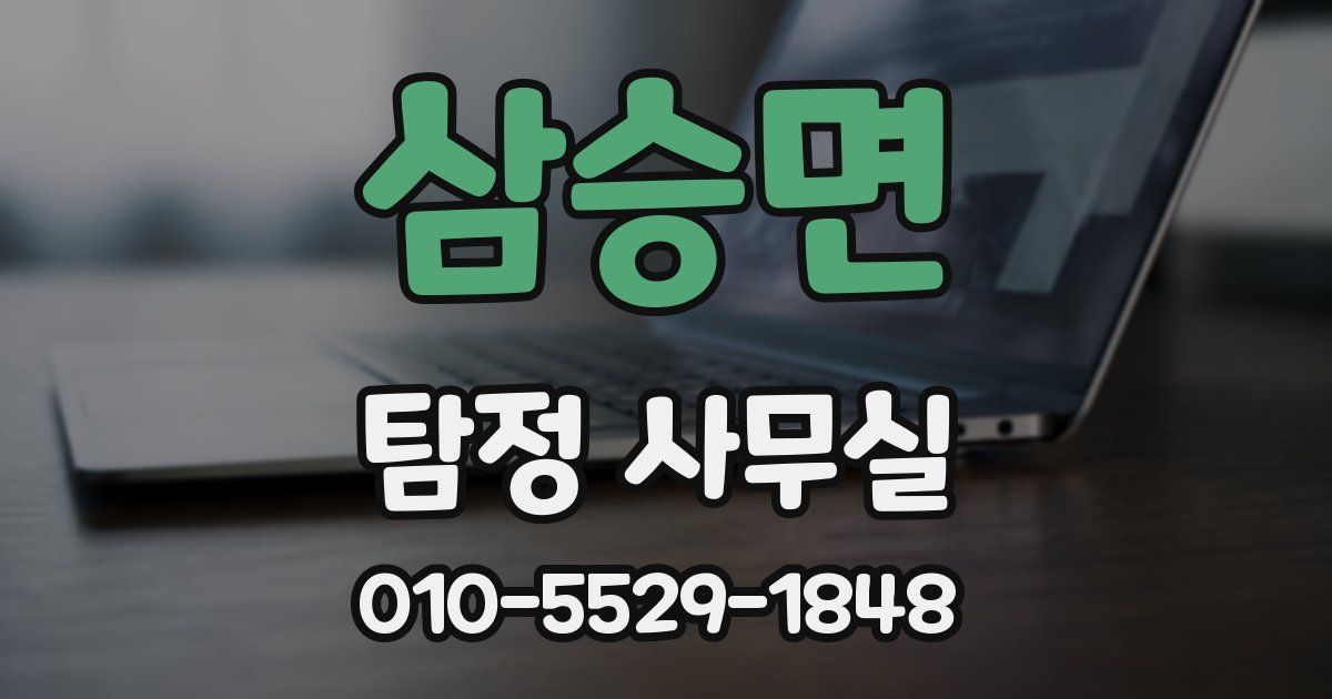 삼승면 탐정 사무실
