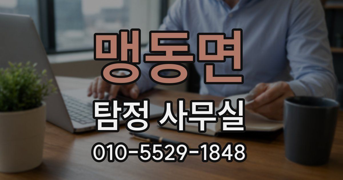맹동면 탐정 사무실