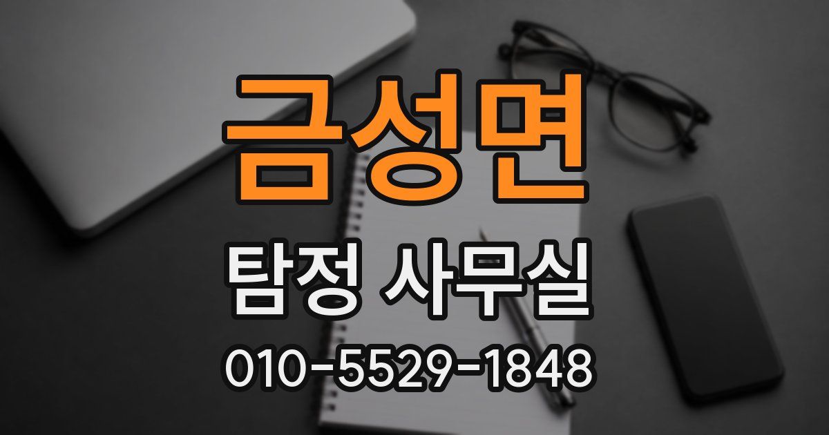 금성면 탐정 사무실