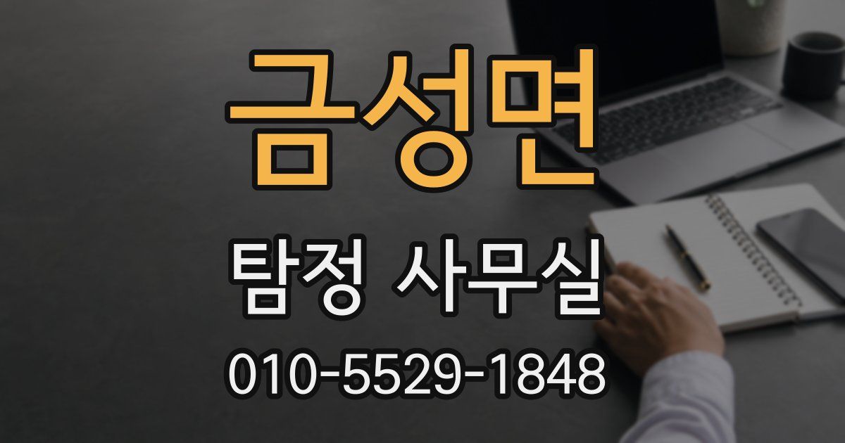 금성면 탐정 사무실