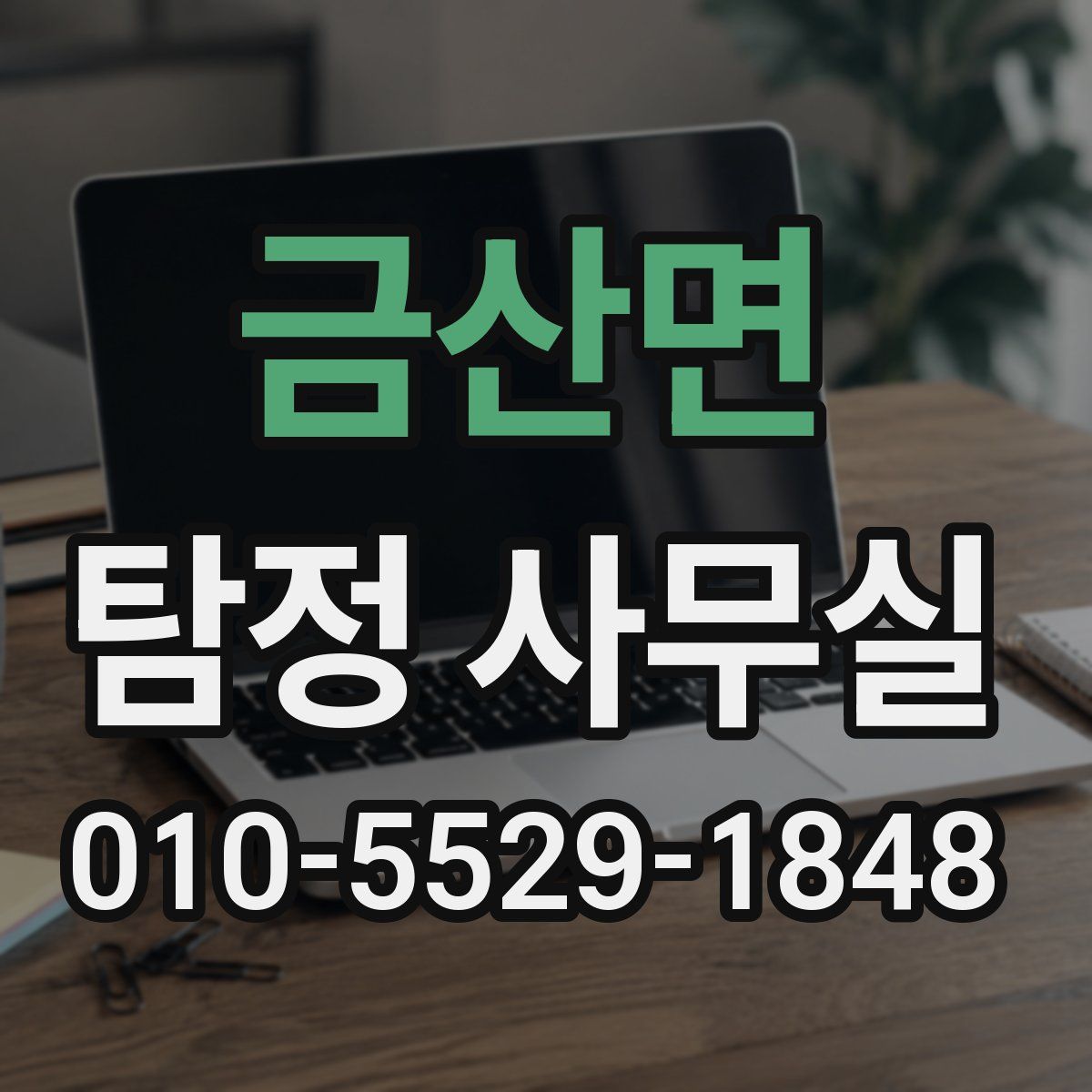 금산면 탐정 사무실