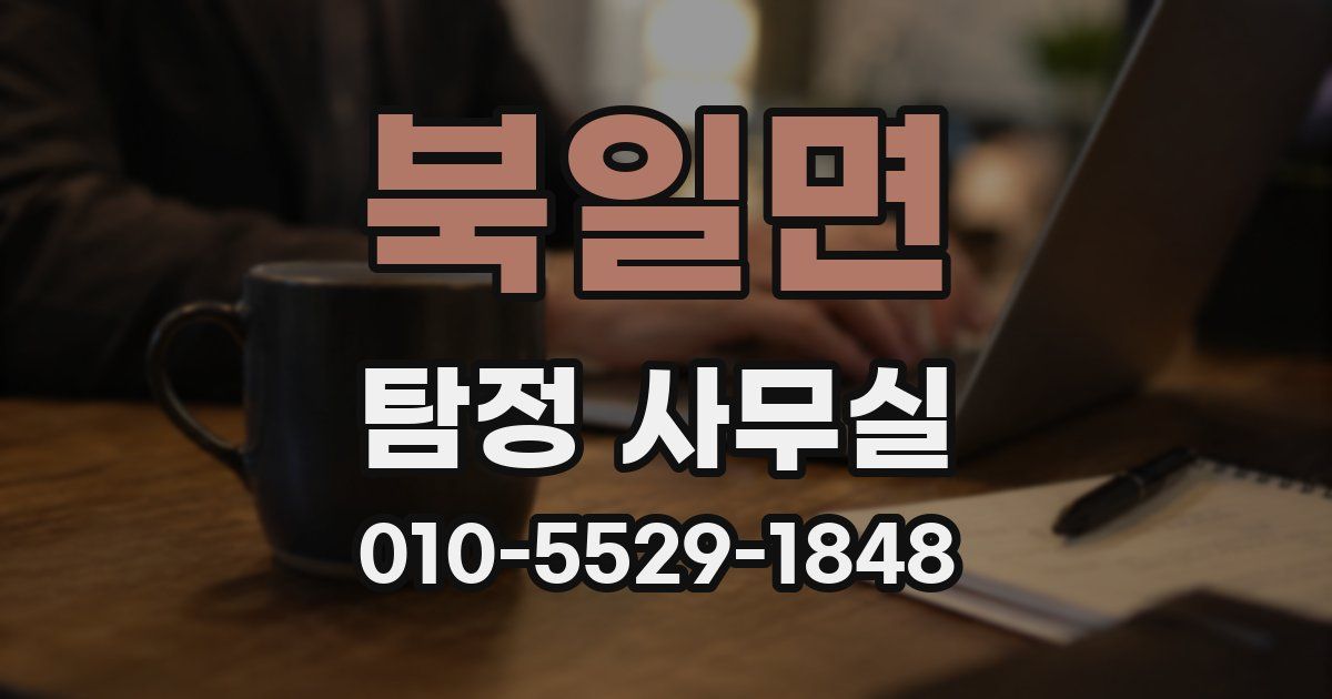 북일면 탐정 사무실