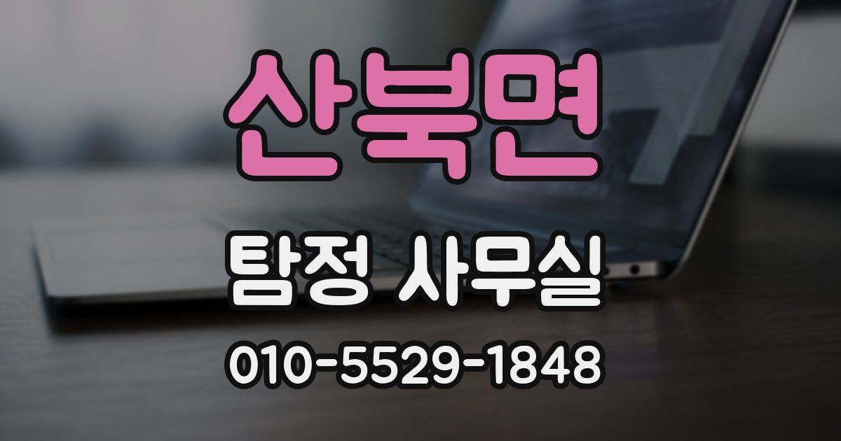 산북면 탐정 사무실