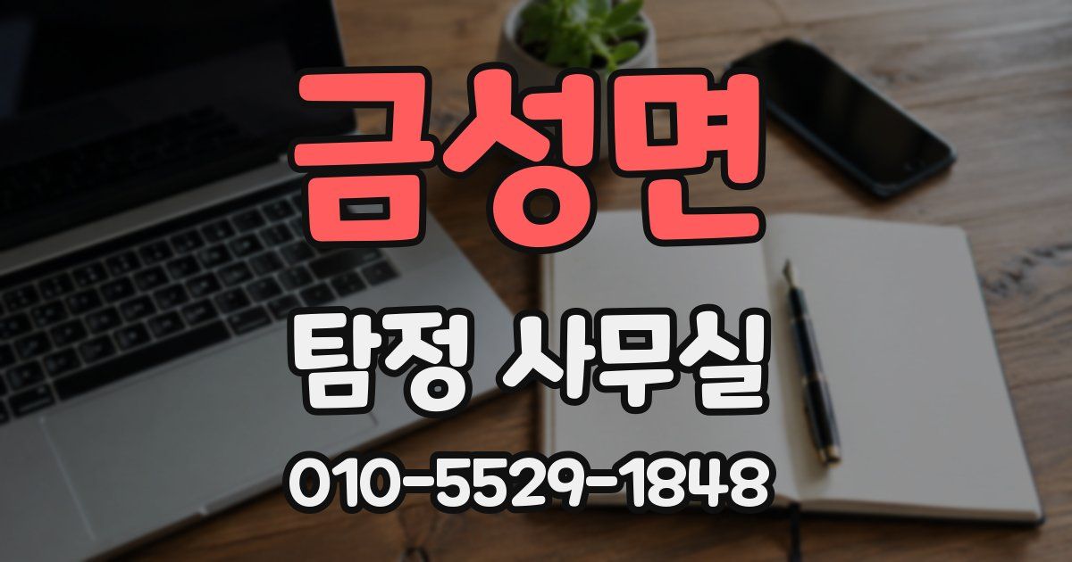 금성면 탐정 사무실