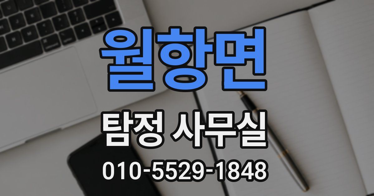 월항면 탐정 사무실