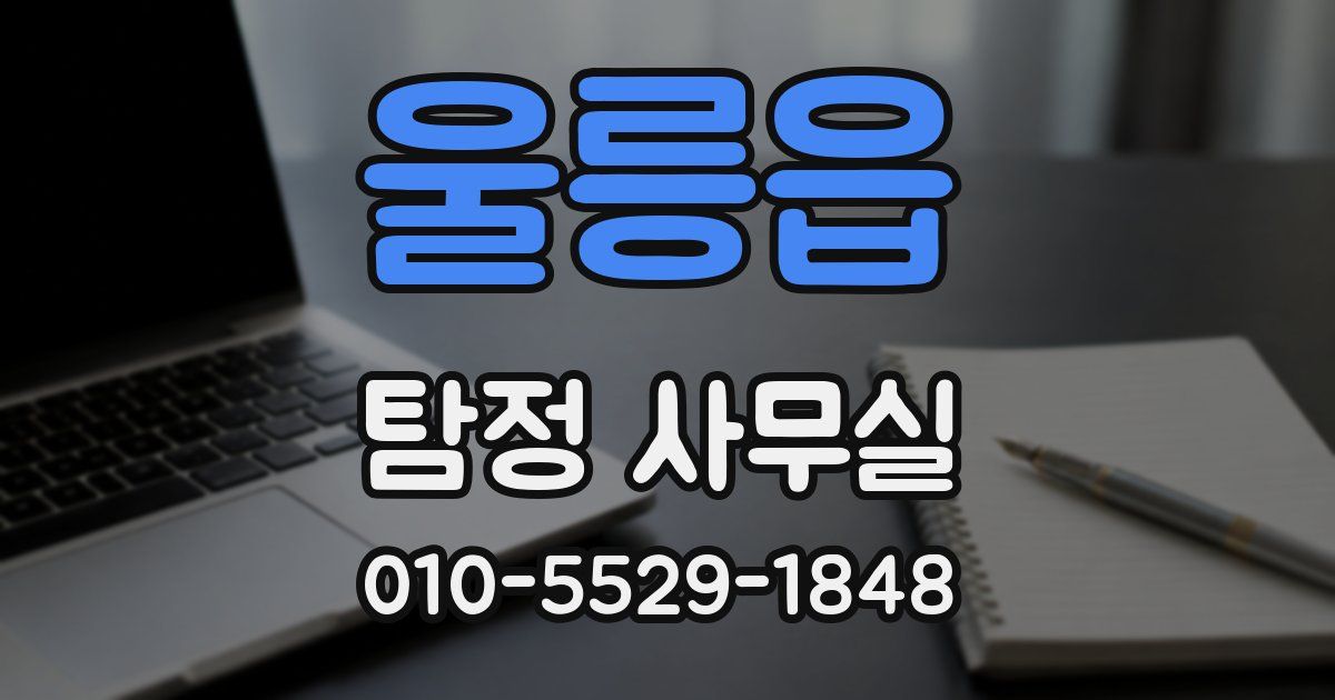 울릉읍 탐정 사무실