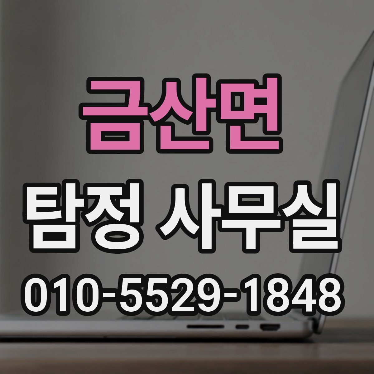 금산면 탐정 사무실