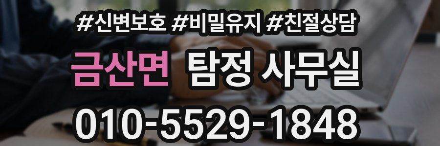 금산면 탐정 사무실