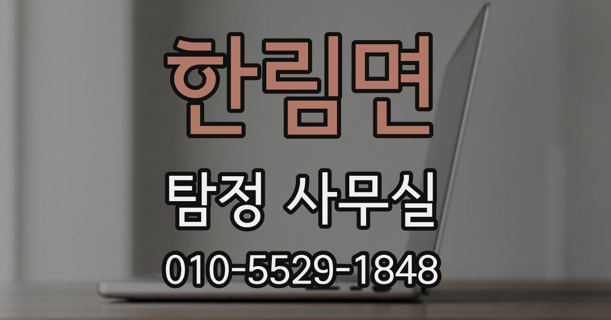 한림면 탐정 사무실