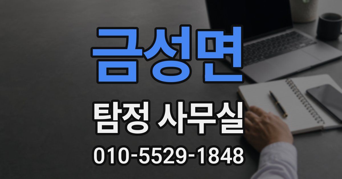 금성면 탐정 사무실