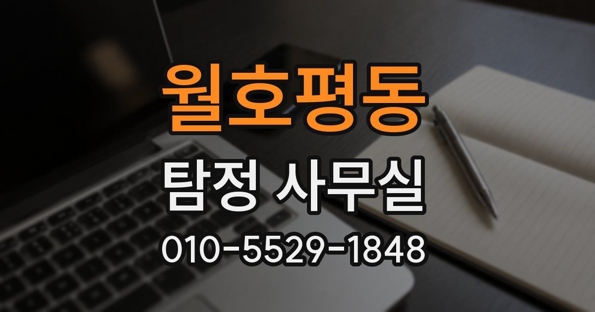 월호평동 탐정 사무실
