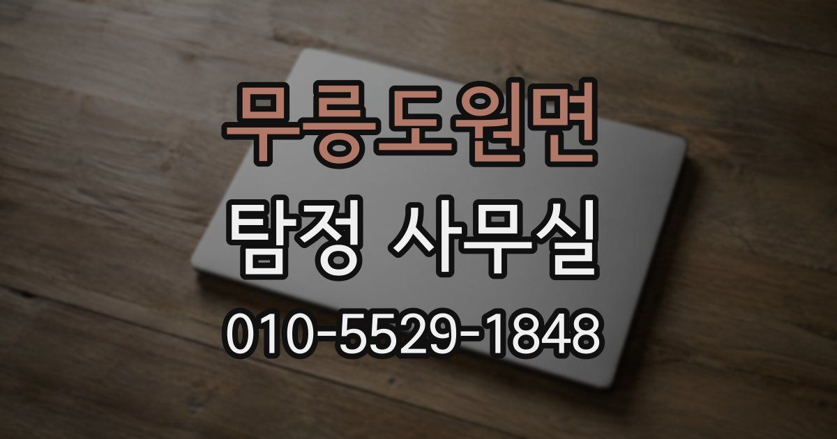무릉도원면 탐정 사무실