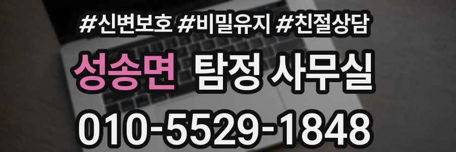 성송면 탐정 사무실