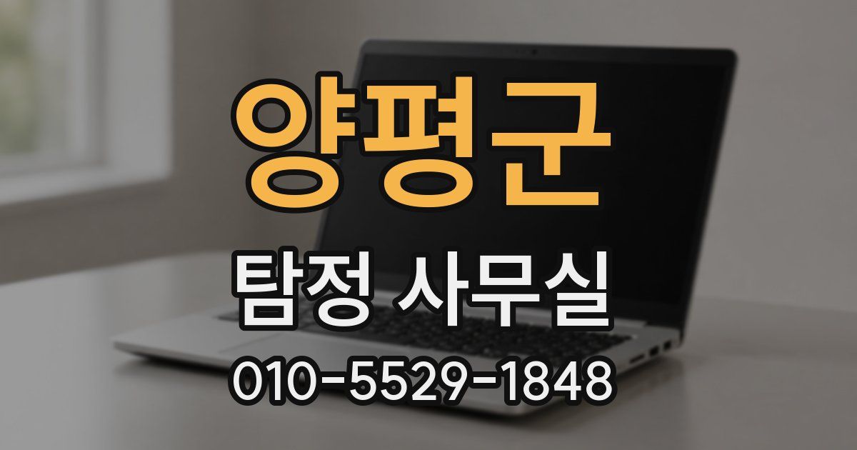 양평군 탐정 사무실