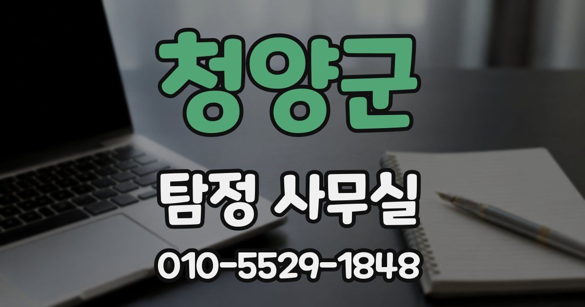 청양군 탐정 사무실