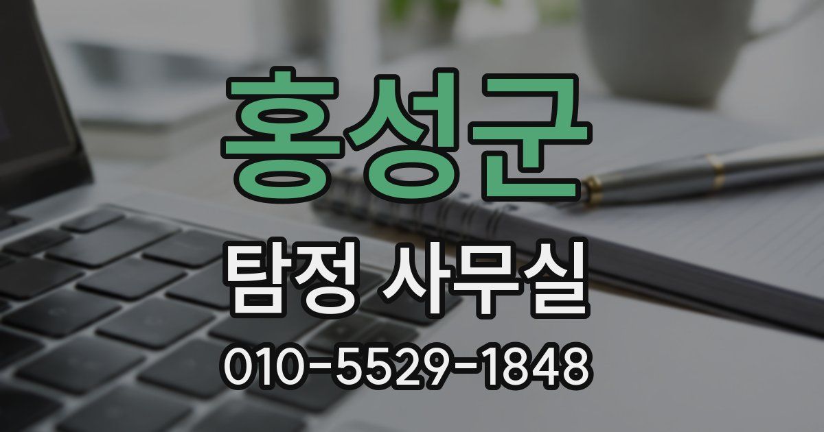 홍성군 탐정 사무실