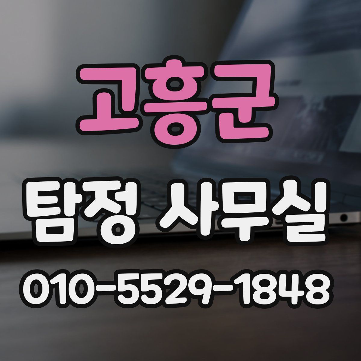 고흥군 탐정 사무실