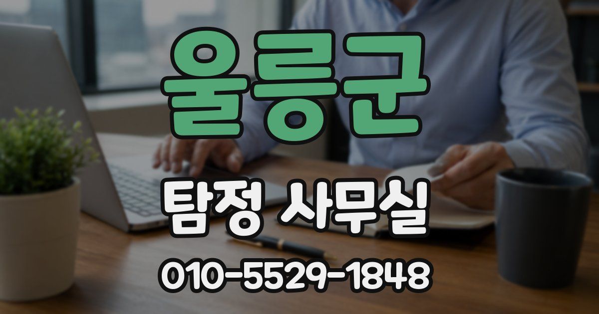 울릉군 탐정 사무실