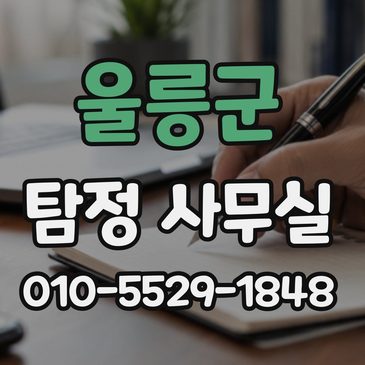 울릉군 탐정 사무실