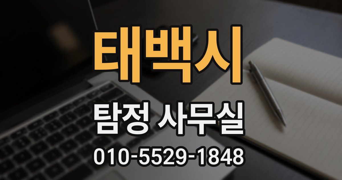 태백시 탐정 사무실