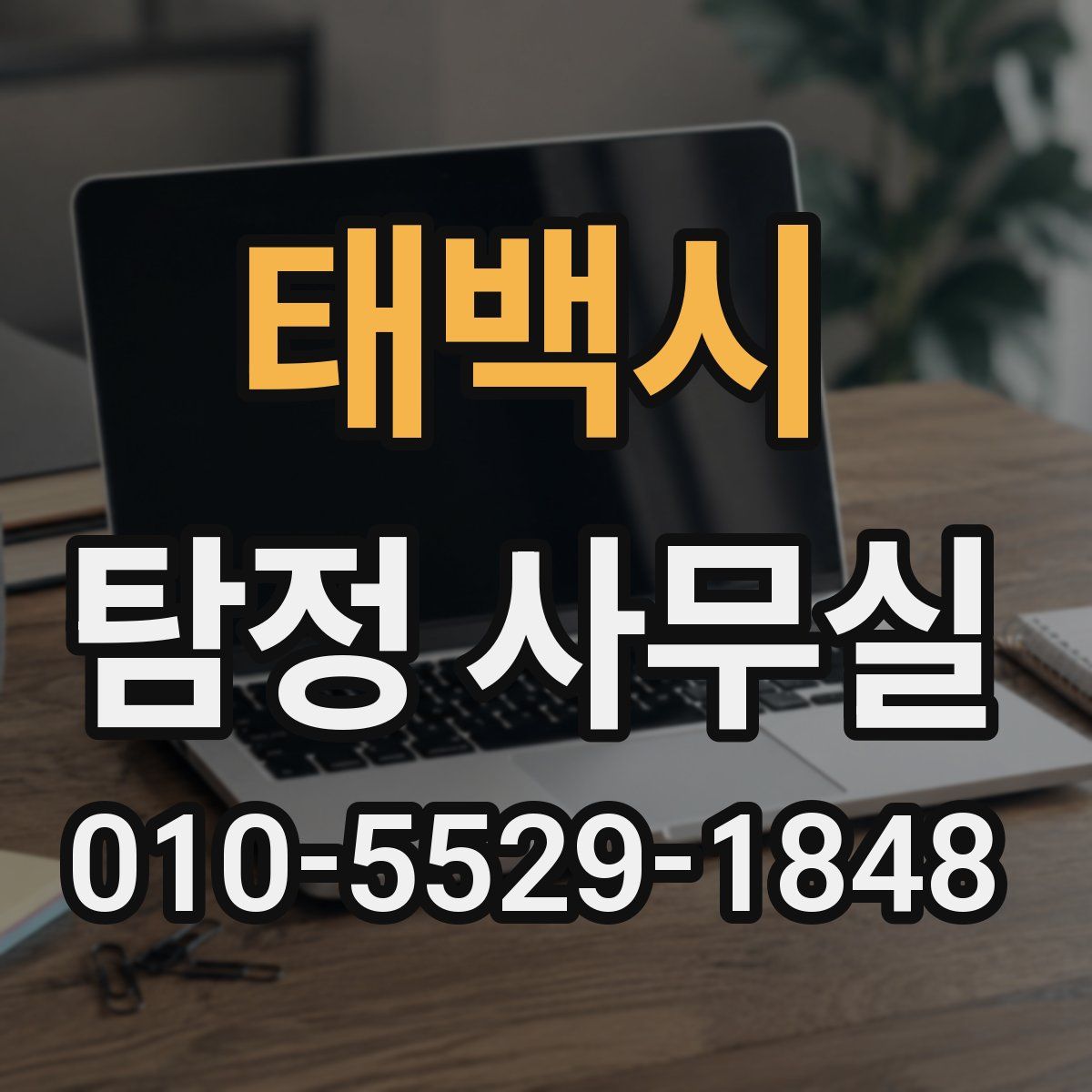 태백시 탐정 사무실