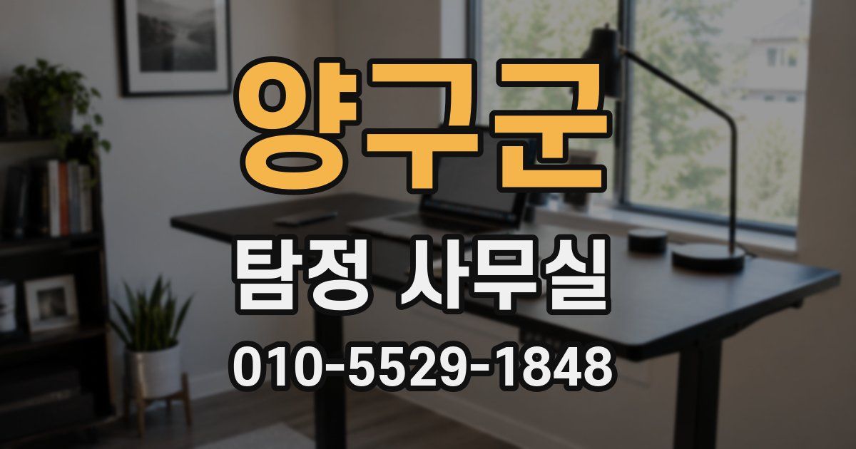 양구군 탐정 사무실
