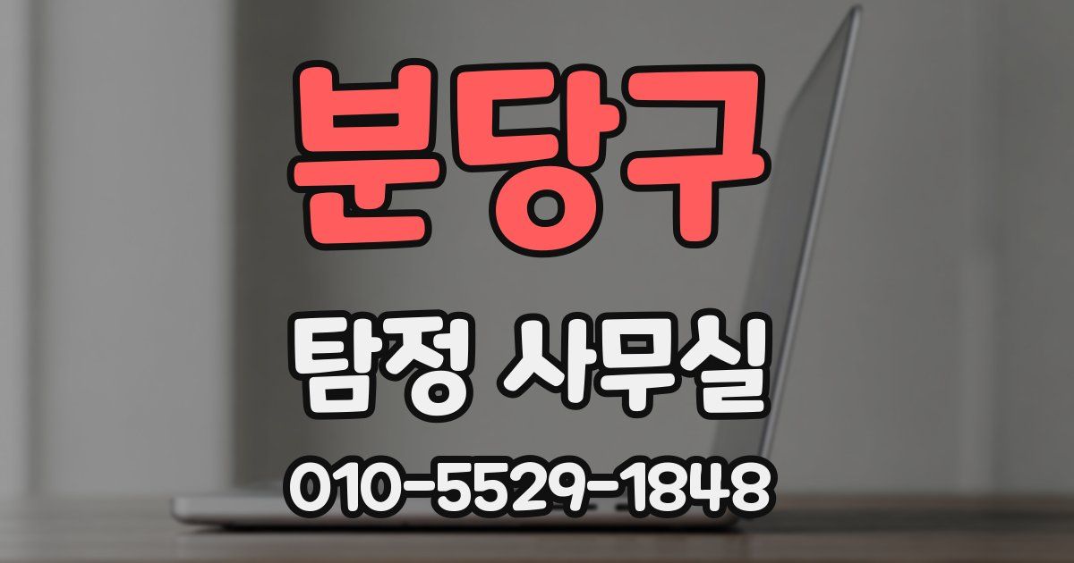 분당구 탐정 사무실